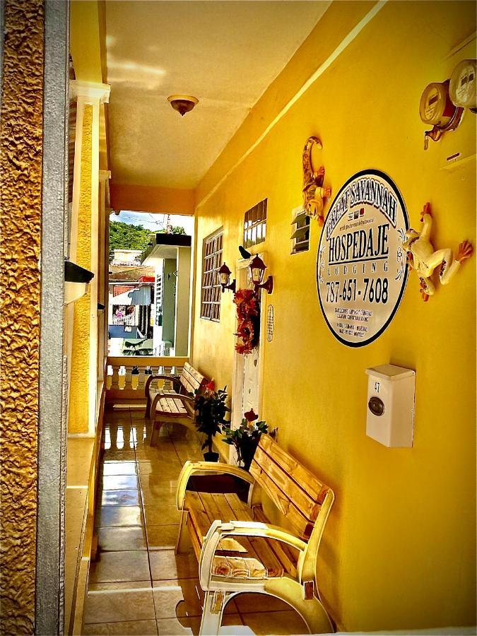 Great Savannah Guesthouse Sabana Grande Экстерьер фото