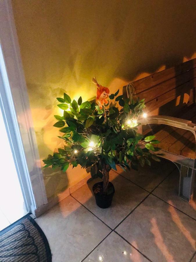 Great Savannah Guesthouse Sabana Grande Экстерьер фото